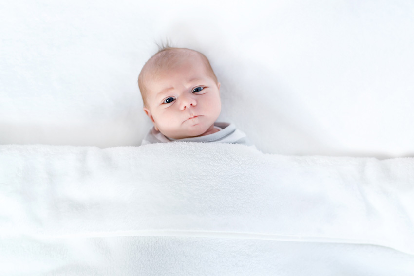 lavendel je bent hetzelfde Baby in slaapzak; de Lodger Hopper - AllinMam.com