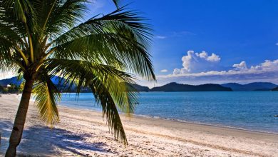 Pelangi Beach - Met kinderen nar Maleisë - AllinMam.com