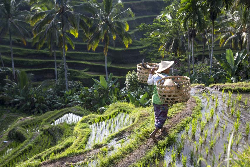 Bali met kinderen - AllinMam.com