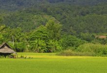 reizen met kinderen naar Azië