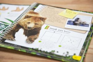 3d vouwboek wilde dieren