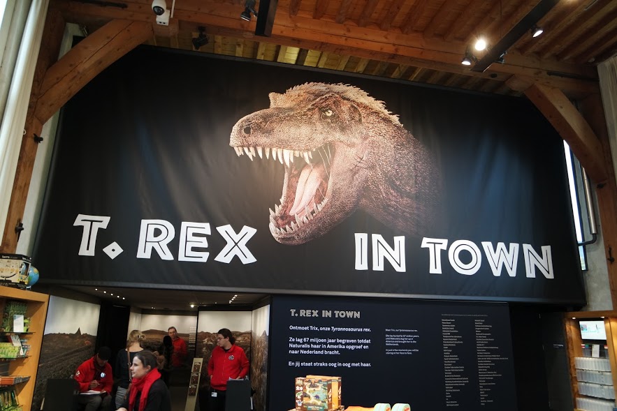 t rex in town naturalis dinosaurus in museum - AllinMam.com