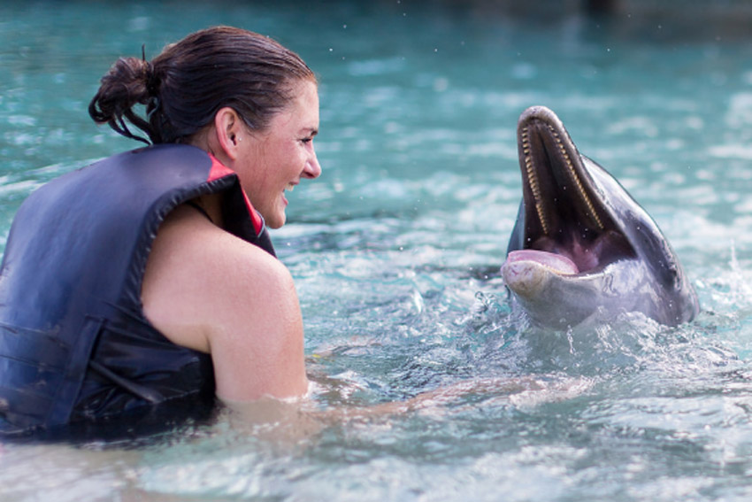 Zwemmen met dolfijnen, Blue Lagoon Royal swim - AllinMam.com