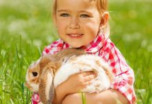 Een huisdier; wordt het een hamster, een cavia of een konijn? - AllinMam.com