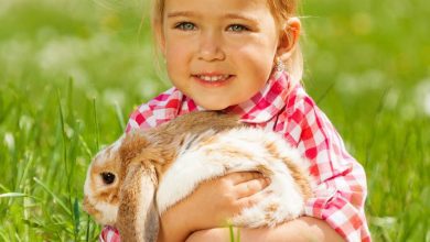 Een huisdier; wordt het een hamster, een cavia of een konijn? - AllinMam.com