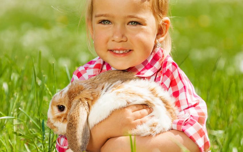 Een huisdier; wordt het een hamster, een cavia of een konijn? - AllinMam.com