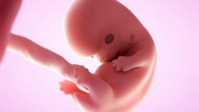 8 weken zwanger - zwangerschap van week tot week - AllinMam.com