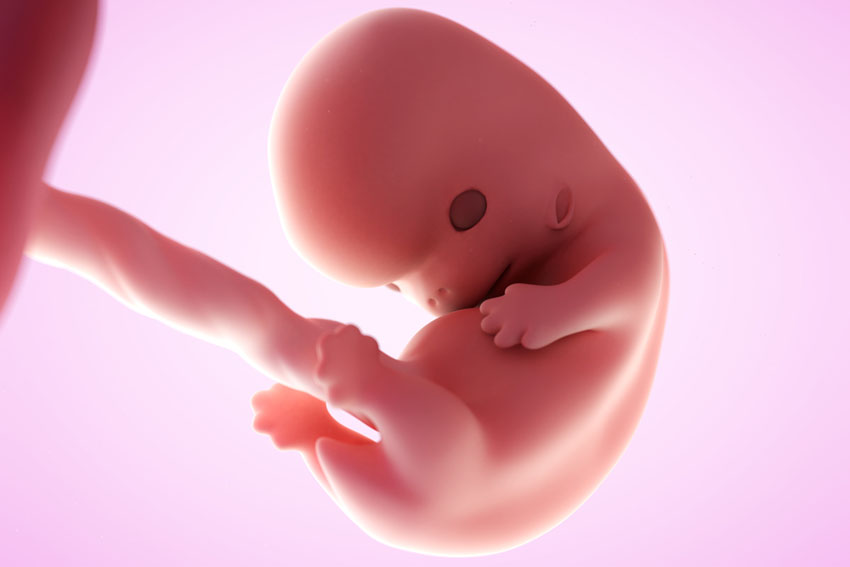 8 weken zwanger - zwangerschap van week tot week - AllinMam.com