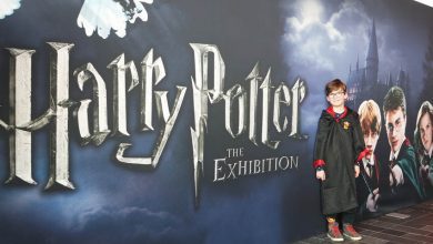 Harry Potter, the exhibition - AllinMam.com