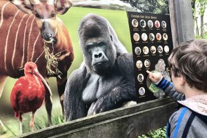 Op safari door de dierentuin met de GaiaZOO app - AllinMam.com