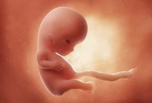 10 weken zwanger; buikje misschien al zichtbaar - AllinMam.com