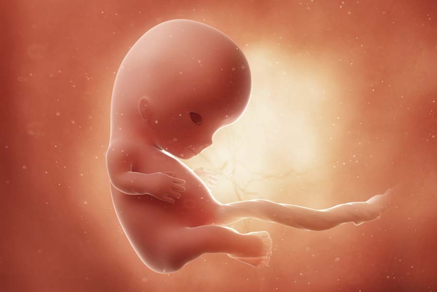 10 weken zwanger; buikje misschien al zichtbaar - AllinMam.com