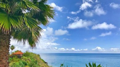 Fajã dos Padres; Garden of Eden op Madeira - AllinMam.com