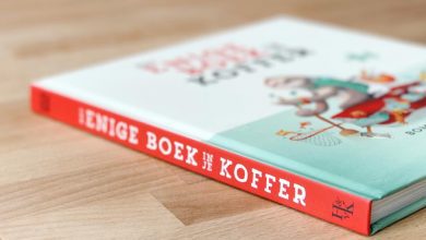 Leukste vakantieboek en het enige boek in je koffer - AllinMam.com