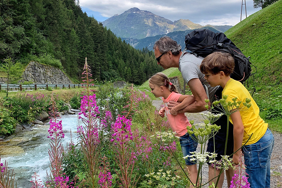 Zomervakantie in Niederthai, afgelegen dorpje in Ötztal - AllinMam.com