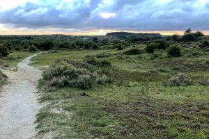 Wandelen in de Kennemer duinen- weekoverzicht AllinMam.com