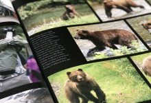 5 tips voor het maken van een mooi fotoboek - AllinMam.com