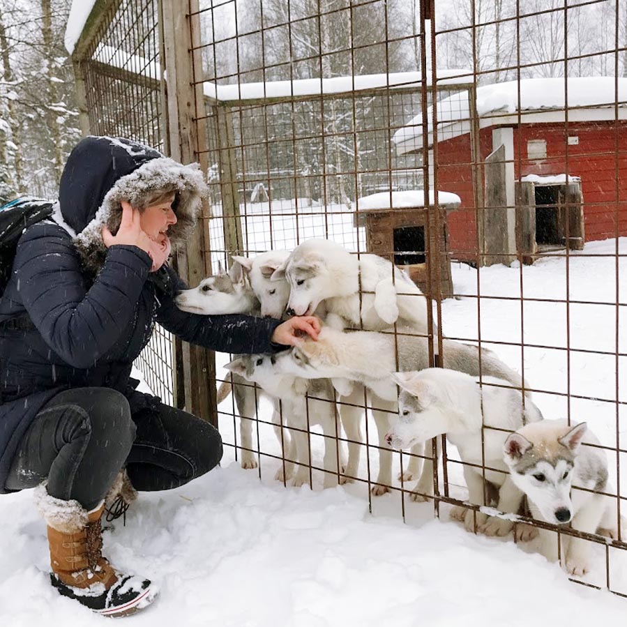 Bezoek aan husky farm in Finland - AllinMam.com