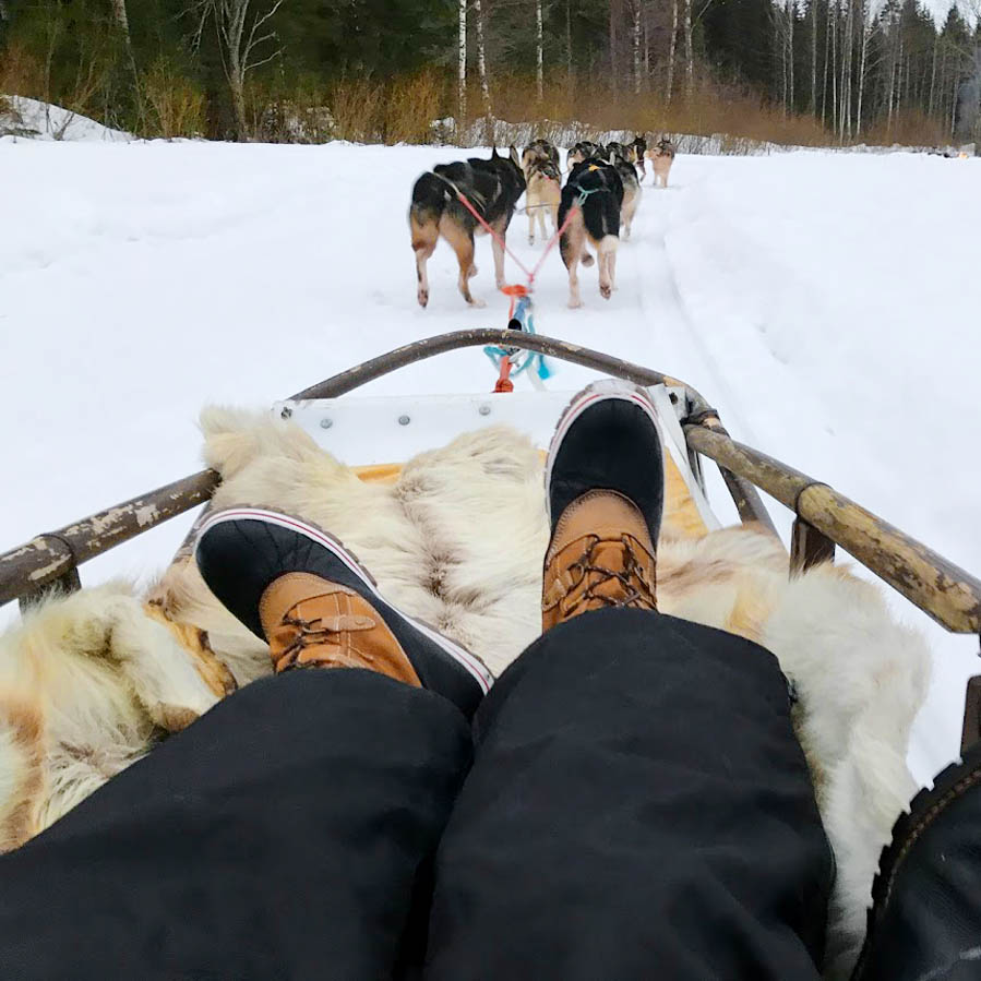 Husky sledding - AllinMam.com