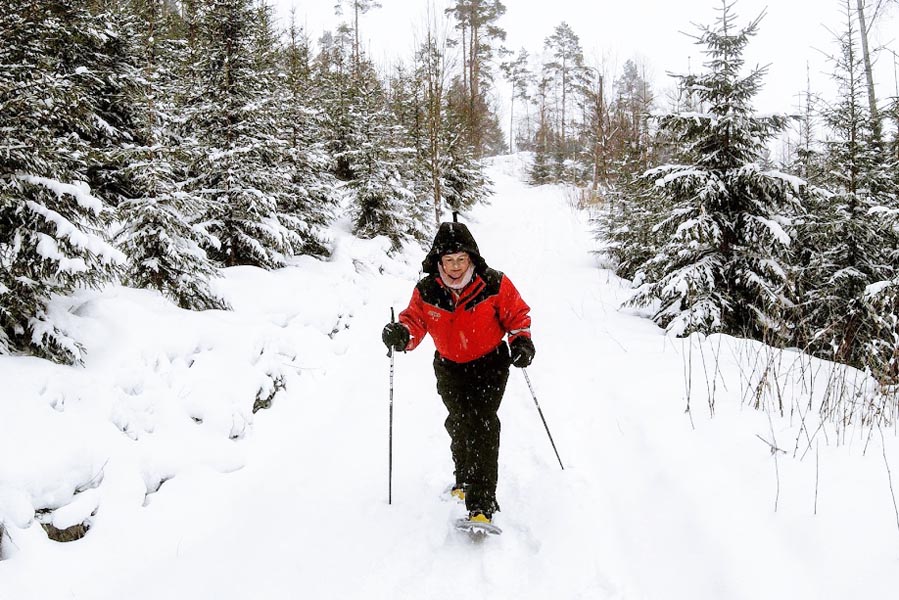 Wandelen op sneeuwschoenen in Finland - AllinMam.com