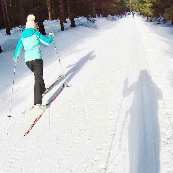 Langlaufen in Bedřichov - Liberec: combinatie stedentrip en skiën in Tsjechië - AllinMam.com