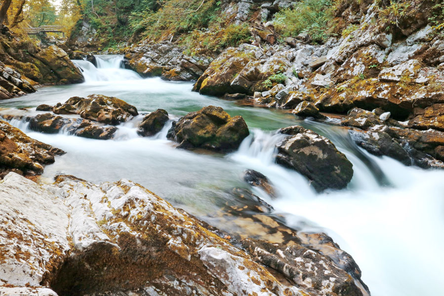 Must see in Slovenië: de prachtige Vintgar kloof - AllinMam.com