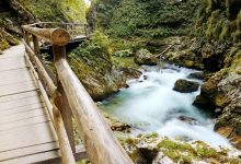 Must see in Slovenië: de prachtige Vintgar kloof - AllinMam.com