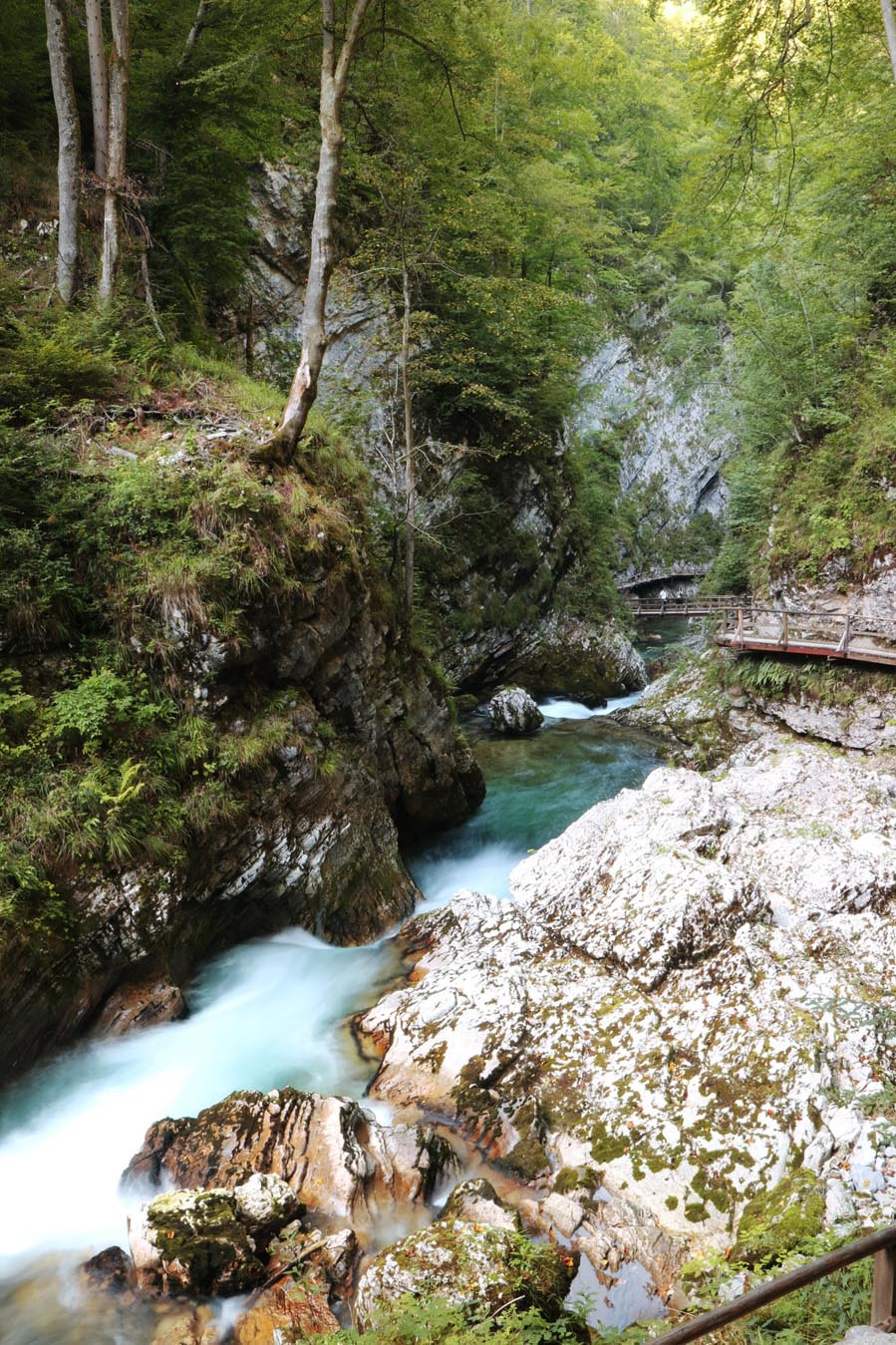 Must see in Slovenië: de prachtige Vintgar kloof - AllinMam.com