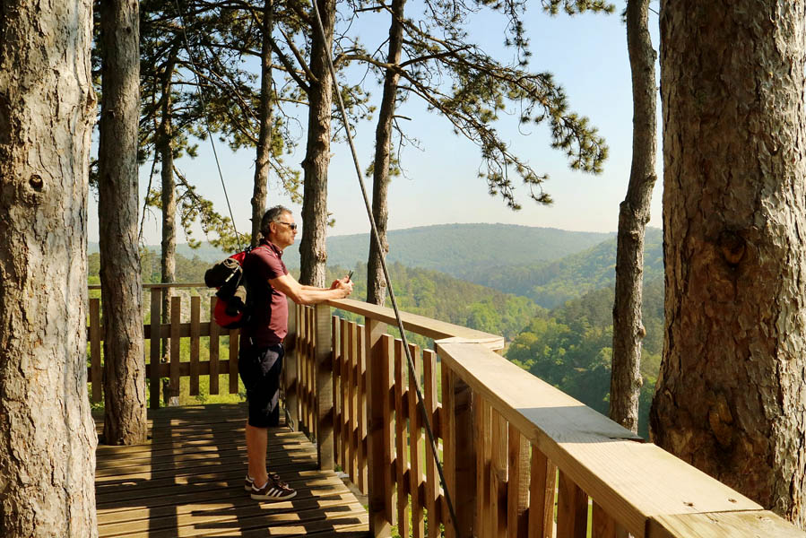 Wildpark Grotten van Han: nog onbekend maar een bezoek waard - AllinMam.com