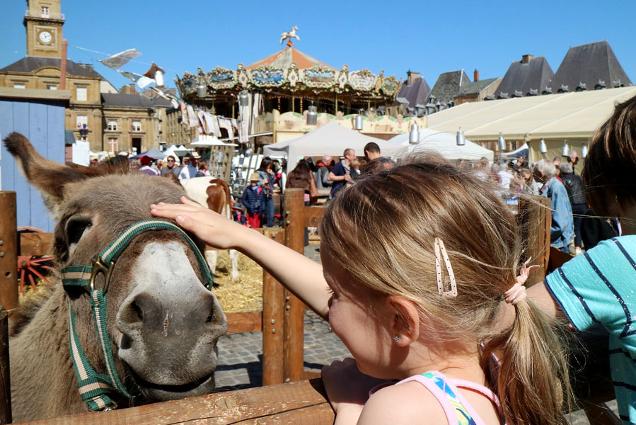 Charleville-Mézière - Op vakantie in Champagne-Ardenne - AllinMam.com