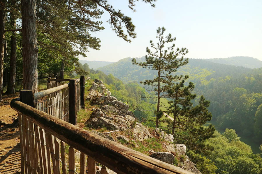 Wildpark Grotten van Han: nog onbekend maar een bezoek waard - AllinMam.com