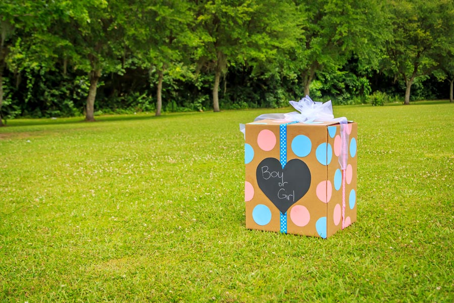 10 hippe gender reveal manieren - AllinMam.com