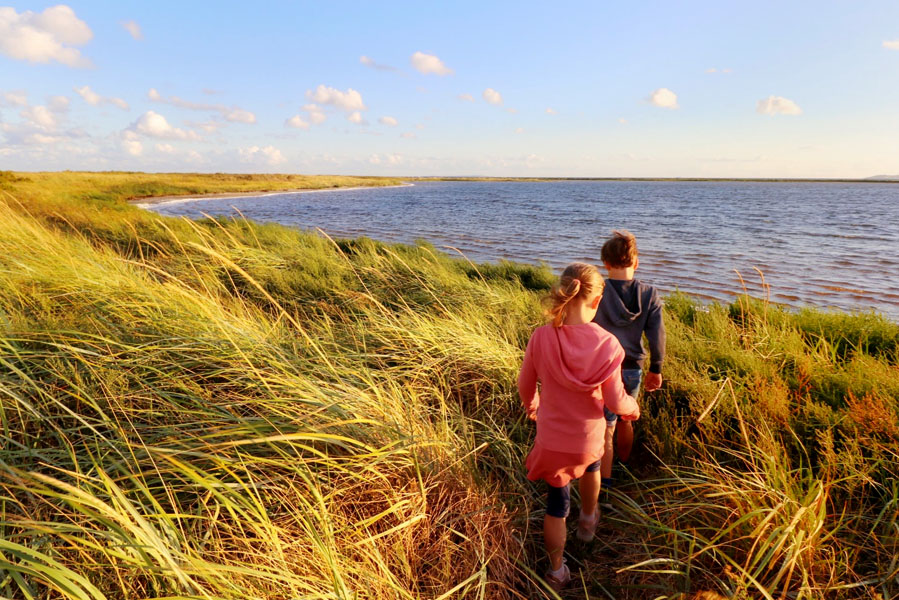 Met kinderen naar Landal Ebeltoft in Denemarken - AllinMam.com