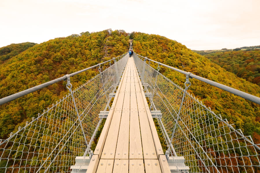 Geierlay brug, Landal Mont Royal ervaring - AllinMam.com