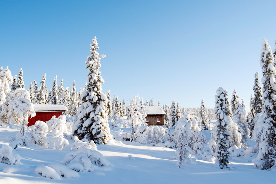 Skiën in het Noorse Norefjell - AllinMam.com