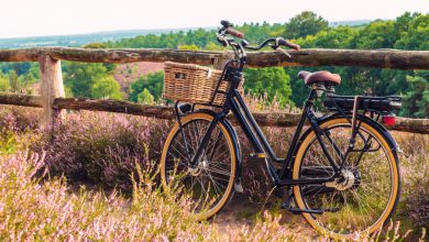 Een elektrische fiets, toch wel heel verleidelijk! - AllinMam.com