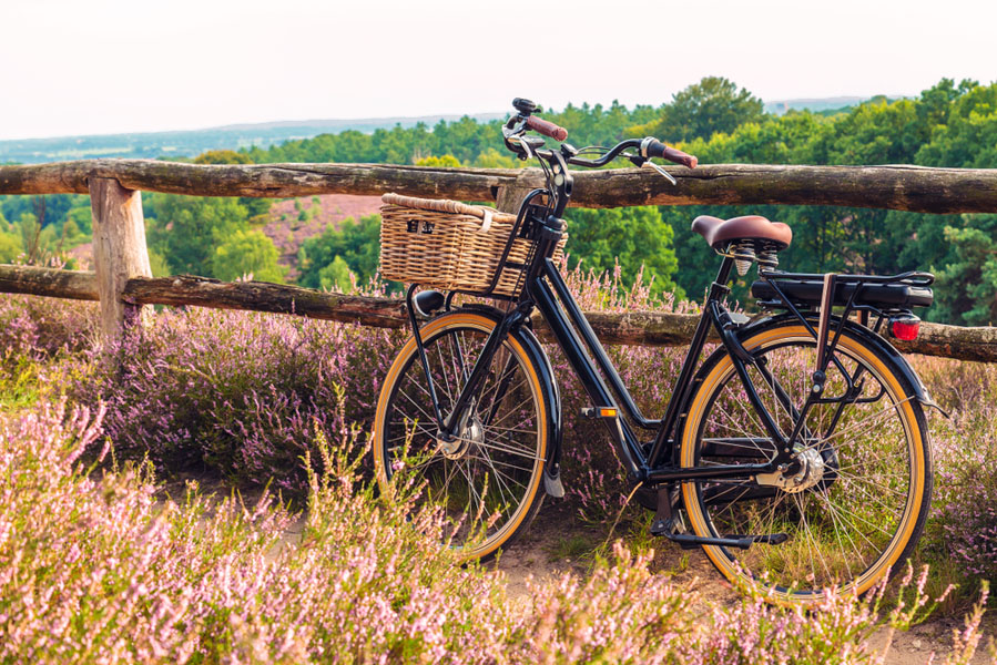 Een elektrische fiets, toch wel heel verleidelijk! - AllinMam.com