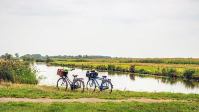 Fietsvakantie in Nederland: dit zijn de leukste locaties - AllinMam.com