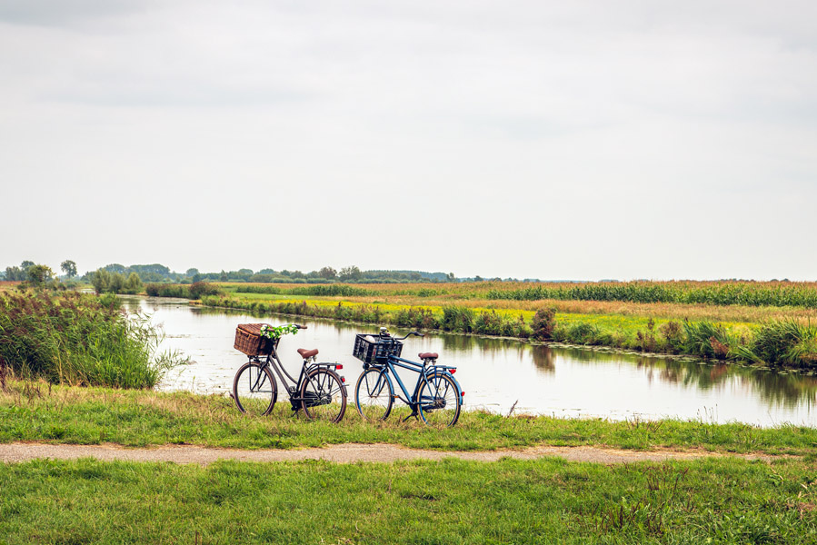 Fietsvakantie in Nederland: dit zijn de leukste locaties - AllinMam.com