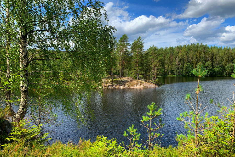 Gezinsvakantie in Zweden: Natuur in Värmland - AllinMam.com