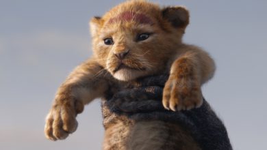 Must see The Lion King 2019 in Nederlandse bioscoop - AllinMam.com