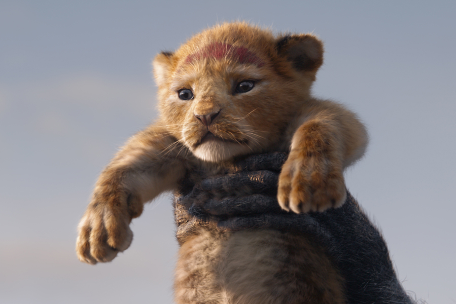 Must see The Lion King 2019 in Nederlandse bioscoop - AllinMam.com