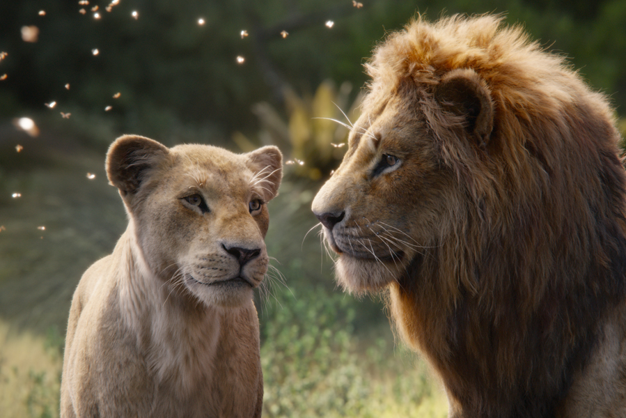 Must see The Lion King 2019 in Nederlandse bioscoop - AllinMam.com