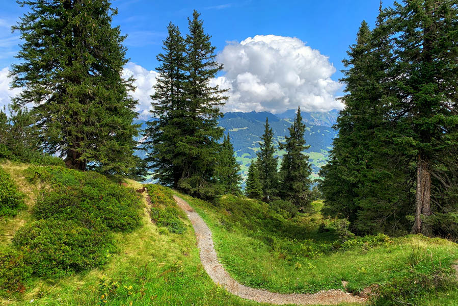 Golm bewegungsberg, wat te doen in de buurt van Landal Hochmontafon - AllinMam.com