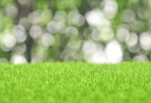 Kunstgras kopen: waar moet je op letten? - AllinMam.com