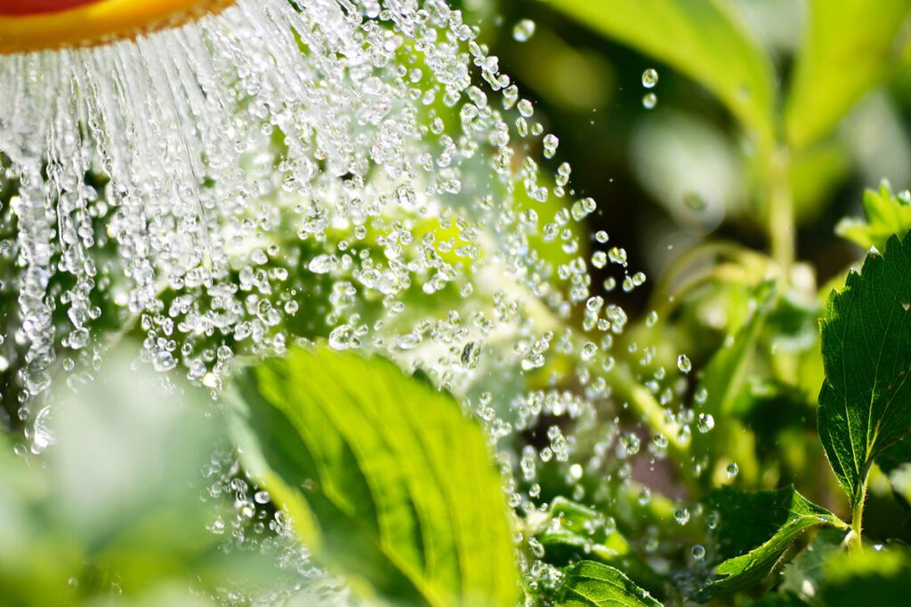 De tuinslanghaspel, jouw tweede hand in de tuin - AllinMam.com