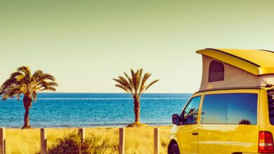 Vervoer naar vakantieadres; waar kies jij voor? - AllinMam.com