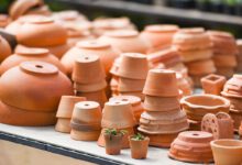 Wat terracotta met jouw planten doet - AllinMam.com