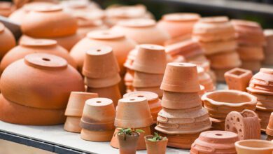 Wat terracotta met jouw planten doet - AllinMam.com