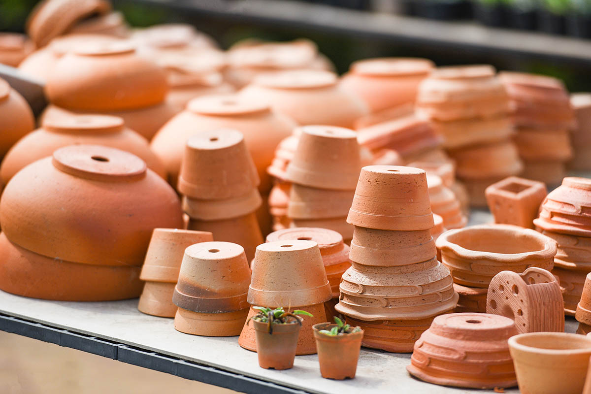 Wat terracotta met jouw planten doet - AllinMam.com